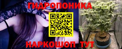 таблы Новозыбков