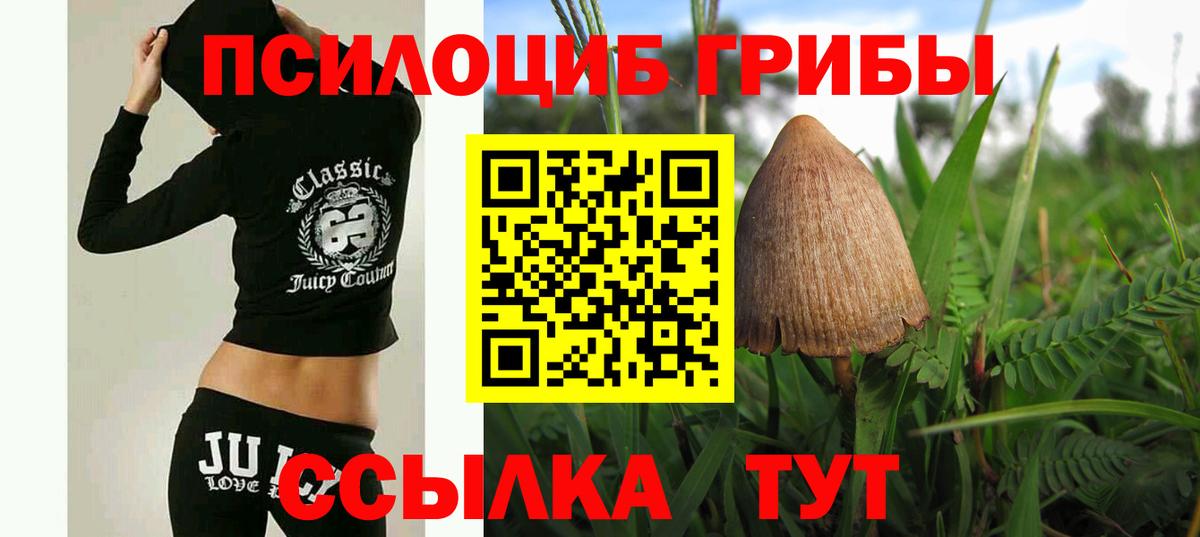Псилоцибиновые грибы Psilocybe  Вход с VPN  Сосновоборск 
